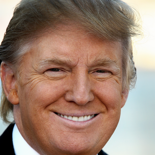 President Donald J. Trump (Portrait)